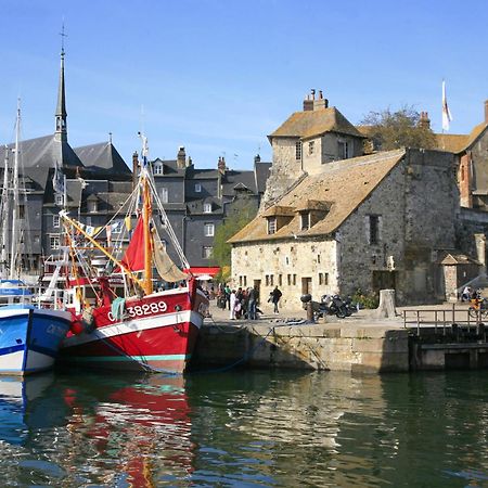 Studio Meuble Jacynthe Proche Le Havre - Etretat - Honfleur Saint-Romain-de-Colbosc Zewnętrze zdjęcie